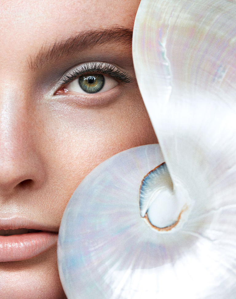 Complice -  FS_Shell_1.jpg