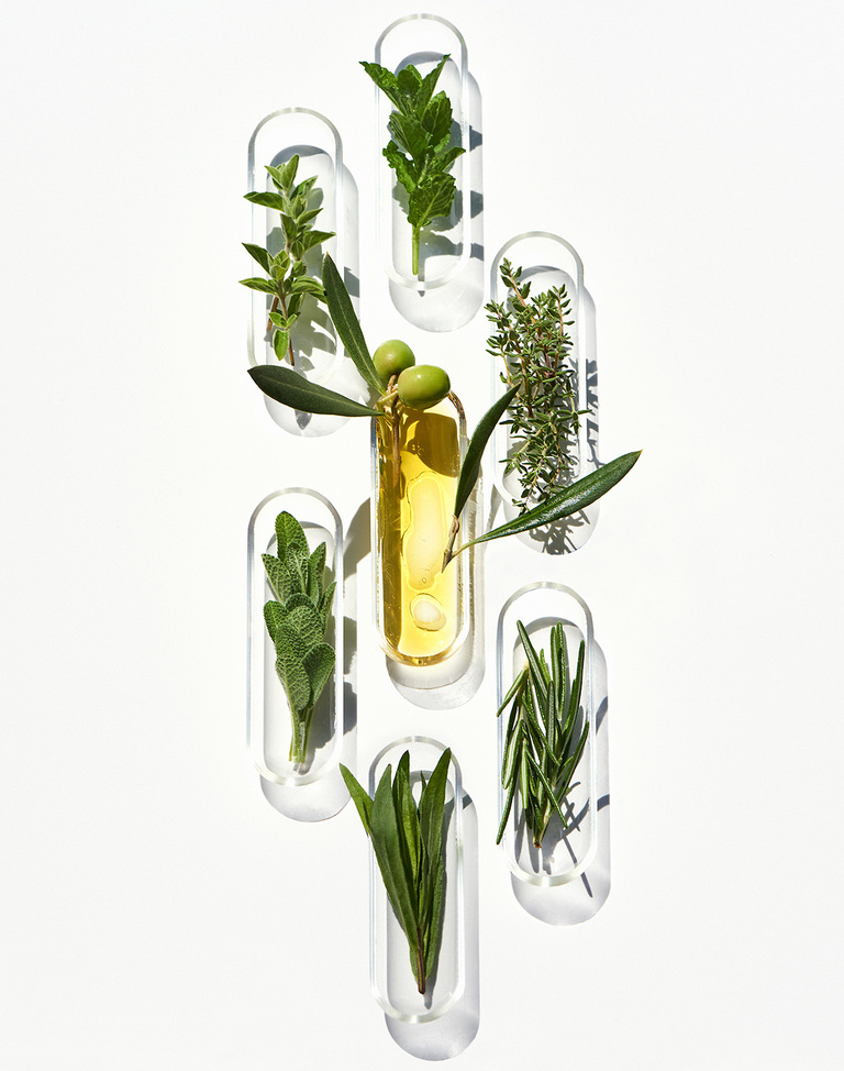 Complice -  FS_HERBAL.jpg