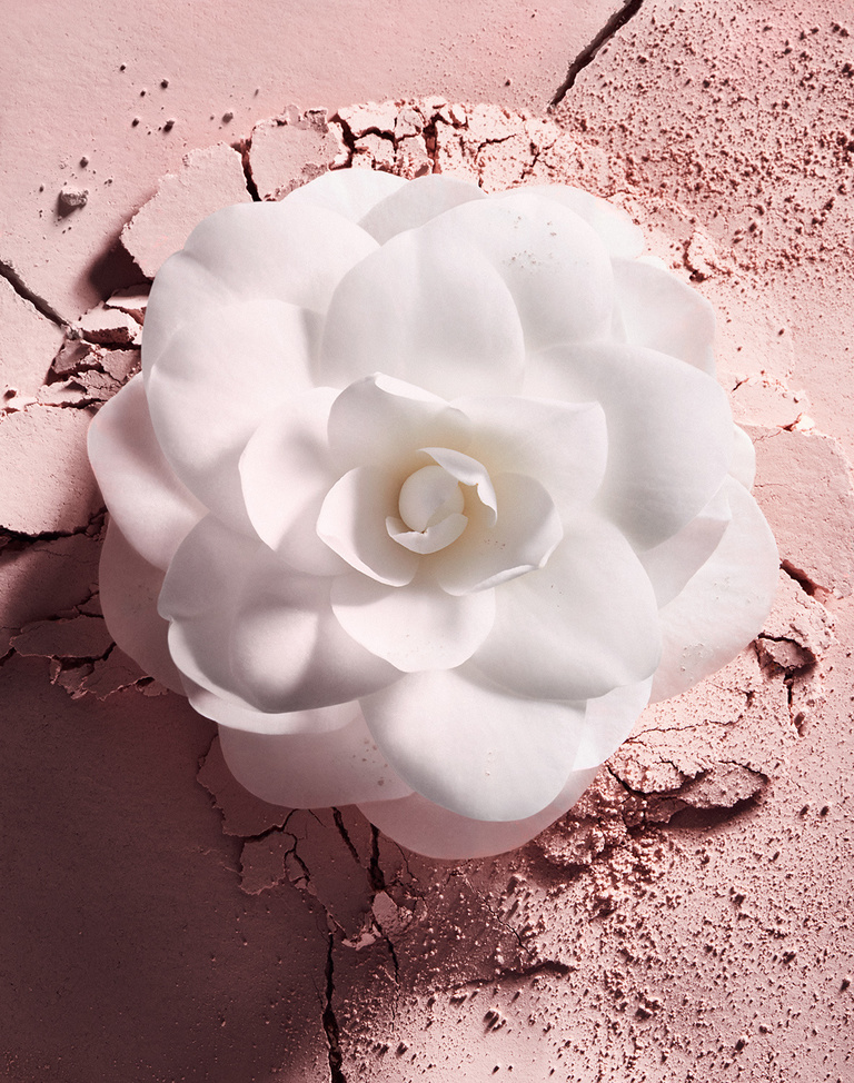 Complice -  FS_CAMELIA_POWDER_3.jpg